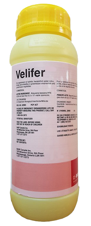 Velifer® Insecticide/Miticide 1 qt Bottle - Insecticides